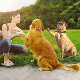 2900ft Waterproof Dog Shock Collar