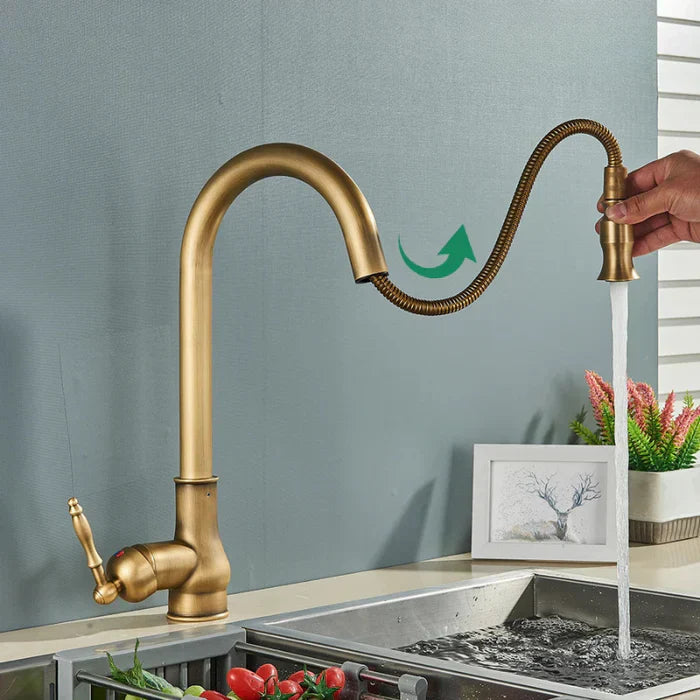 TimelessFlow - Antique Brass Kitchen Faucet with Swivel Spout
