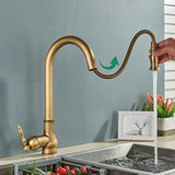 TimelessFlow - Antique Brass Kitchen Faucet with Swivel Spout