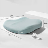 Adult Car Seat Booster