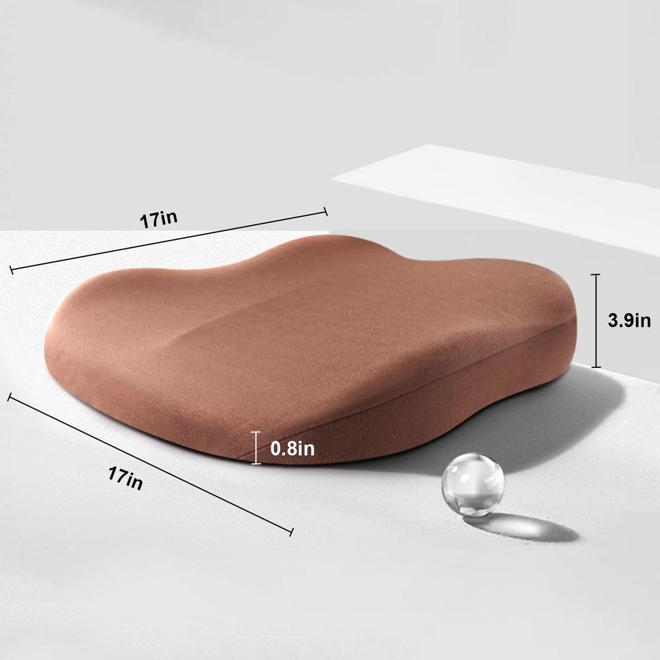 Adult Car Seat Booster