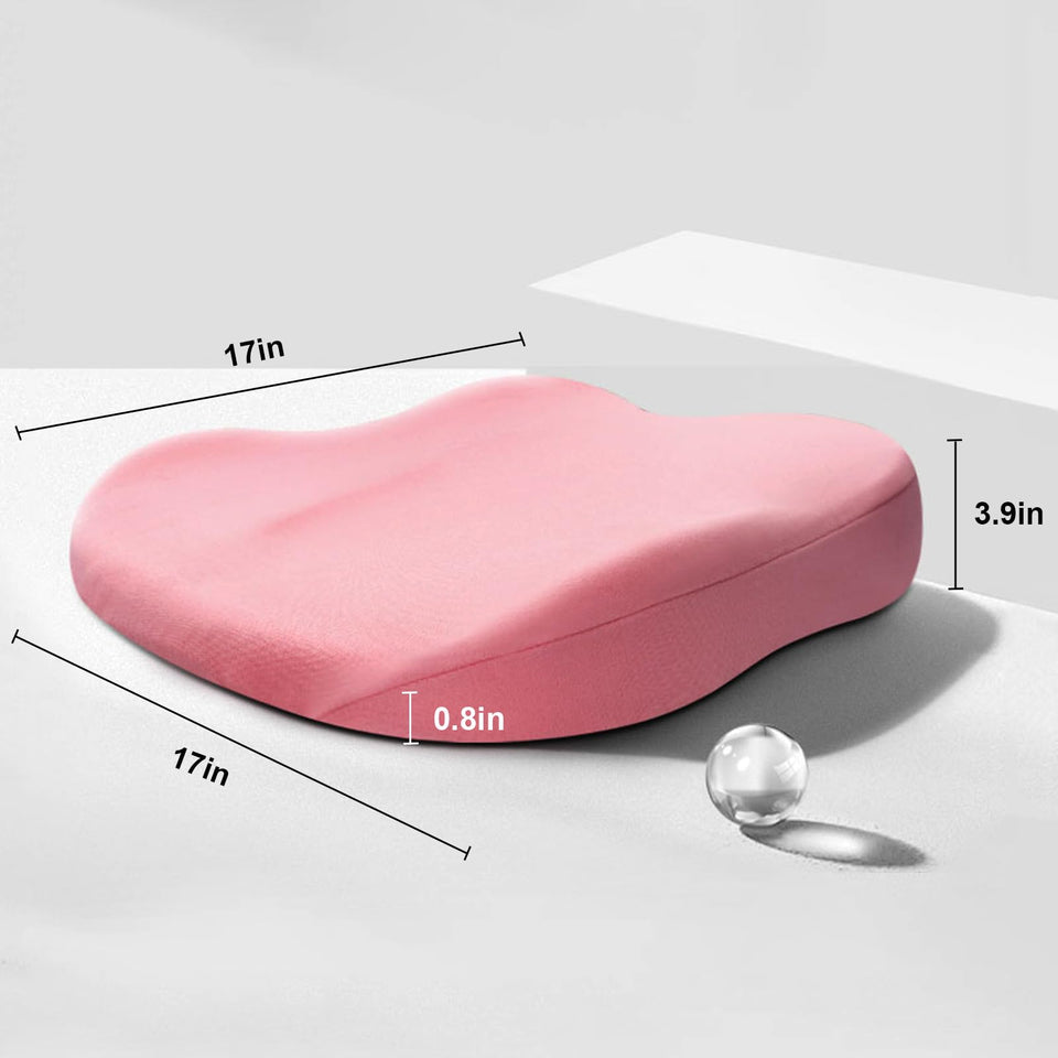 Adult Car Seat Booster