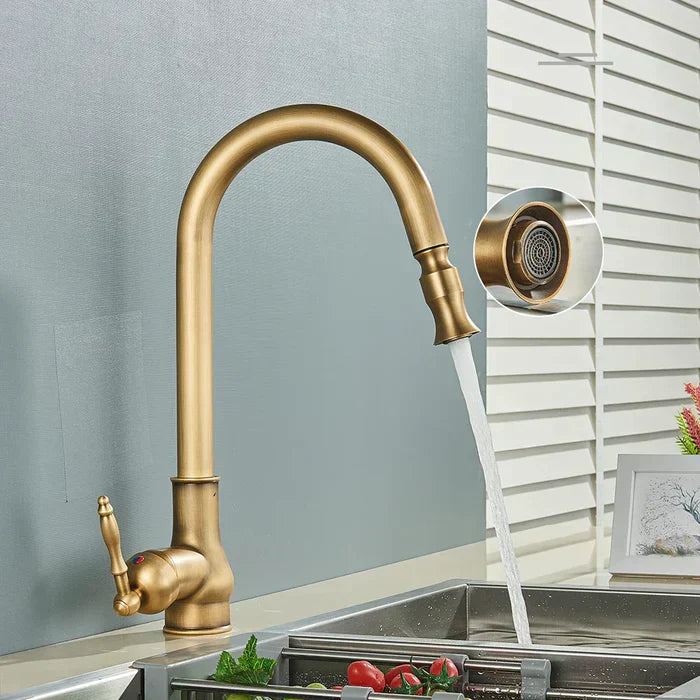 TimelessFlow - Antique Brass Kitchen Faucet with Swivel Spout