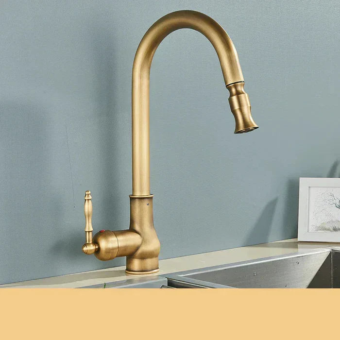 TimelessFlow - Antique Brass Kitchen Faucet with Swivel Spout