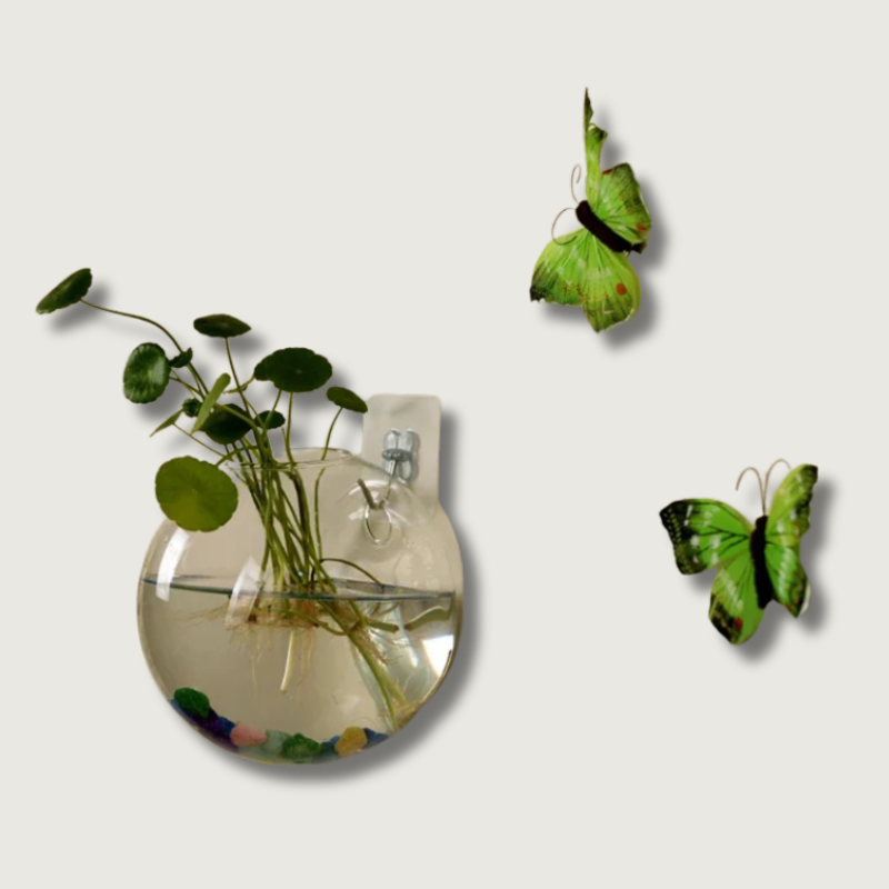 AeroVase - Hydrologische Glasdecoratie